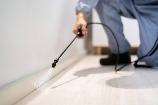 Licensed Pest Control service in Madison County County, ID - Nex Pest Control