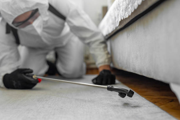 Professional Pest Control technician working in Madison County County, ID